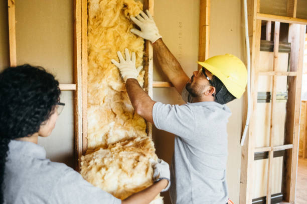 Best Energy-efficient Insulation  in Orwigsburg, PA