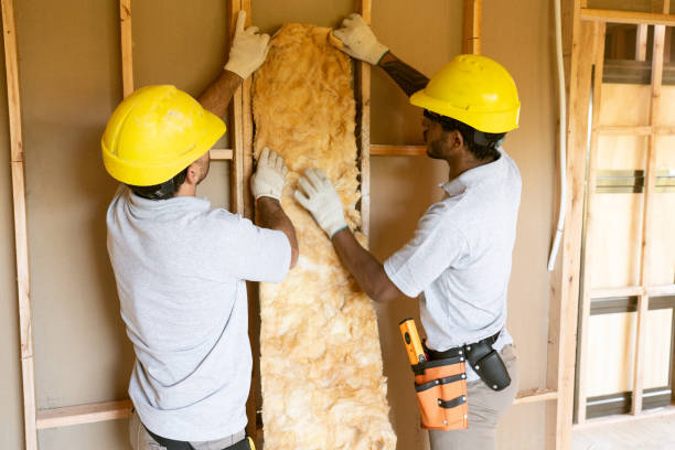 Best Energy-efficient Insulation  in Orwigsburg, PA